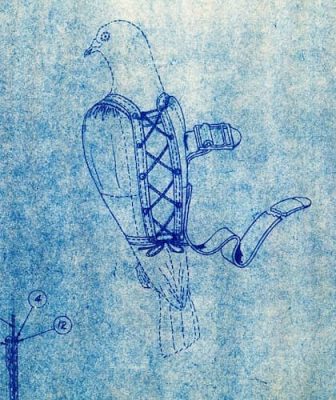 This is a blueprint or pattern for a pigeon vest made of netting.
