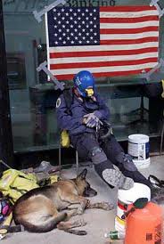 dogs of 9-11