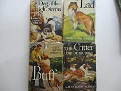 A photograph of four of Terhune's dog books: Dog of the High Sierras, Lad, Buff, and The Critter and other Dogs.