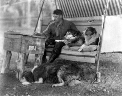 Albert Payson Terhune with a few of his collies. He is sitting on a swing at Sunnybank, writing outdoors.