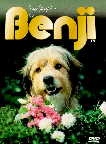what kind of a dog was benji