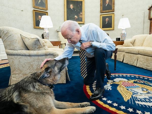 Joe Biden pets Champ in Oval Office.