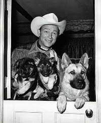 Black-and-white photograph of Roy Rogers and Bullet. Roy is holding about  3 puppies.