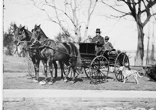 Rufus Ingalls takes the reins of his carriage horses as he sets out for his next destination. His Dalmatian is right alongside the carriage.