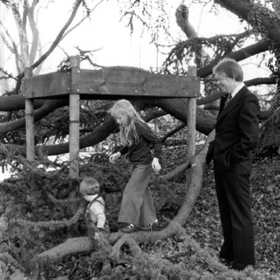 Amy Carter Tree House