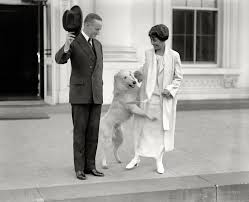 Calvin and Grace Coolidge stand outside the White House. The white collie has jumped up on Grace to have his neck scratched.