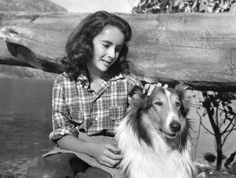 elizabeth taylor lassie