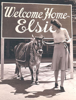 Elsie at Brookfield