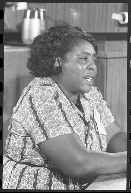 Fannie Lou Hamer is dressed in a cotton short-sleeved dress. She has a microphone pinned to her dress and a serious expression on her face.