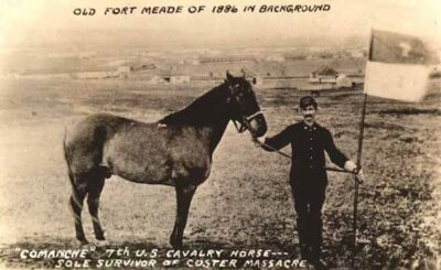 A photograph showing Comanche and a soldier, noting that he was the sole survivor at Little Bighorn.