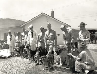 A group of uniformed men, part of a canine unit, stand in a row outdoors with several dogs, one dog being weighed on a scale. There is a small building and hills in the background.