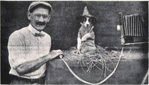 Copy of a newspaper article about animal photographer Harry Whittier Frees. The photo shows a puppy raking and Frees is holding the bulb for the camera.