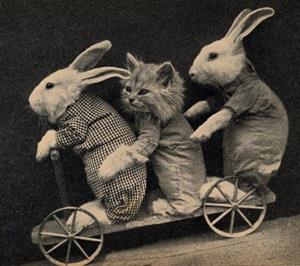 Two bunnies and a kitten riding downhill on a scooter. They are all dressed in play clothes.