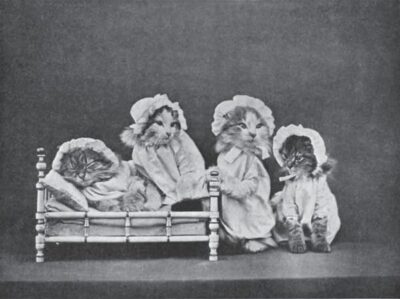 kittens all dressed in night shirts and bonnets; ready for bed.