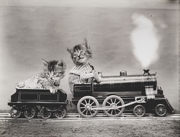 Two kittens riding on a toy train looking semi-terrified. One is dressed in "travel" clothes; the other is dressed as an engineer.
