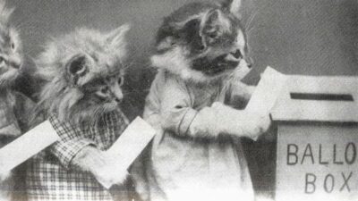 Two dressed kittens, lining up to put a ballot in the Ballot Box.