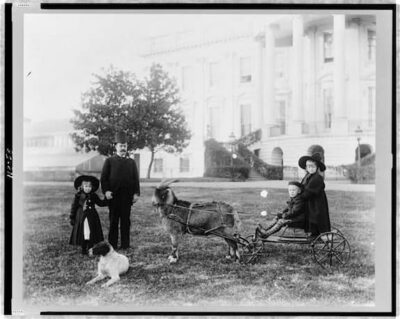This photo was taken in front of the Executive Mansion. Old Whiskers is harnessed to a carriage with two grandchildren on board. Another grandchild, Dash the dog, and the president stand near Old Whiskers.