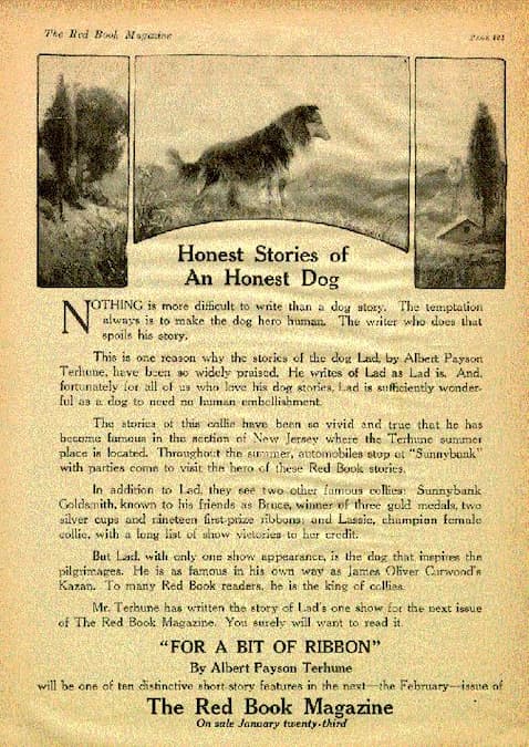 An ad created by Red Book, telling of the stories of Lad. The ad is sepia toned and the headline reads, "Honest Stories of an Honest Dog."