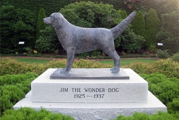 A statue of Jim the Wonder Dog in a garden devoted to him.