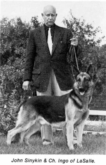 A black and white photo of John Sinykin and one of his German shepherds