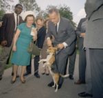 Lyndon johnson hot sale beagle