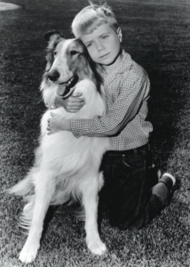 Lassie, Heroes Wiki