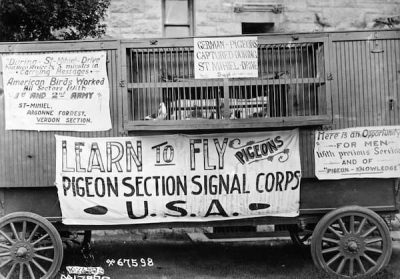 This is a pigeon loft perhaps in the US as the signs encourage people to sign up to be pigeon handlers.