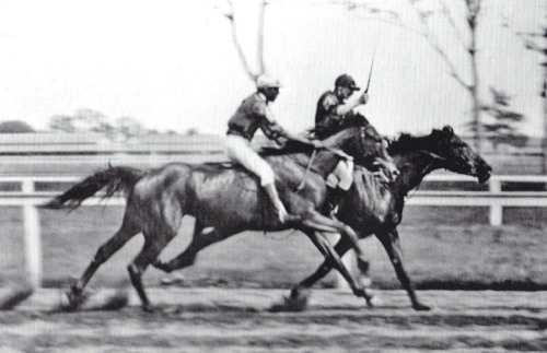 Murphy in 1891 overtaking Strideaway
