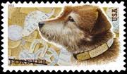 Owney, The Post Office Dog - America Comes Alive