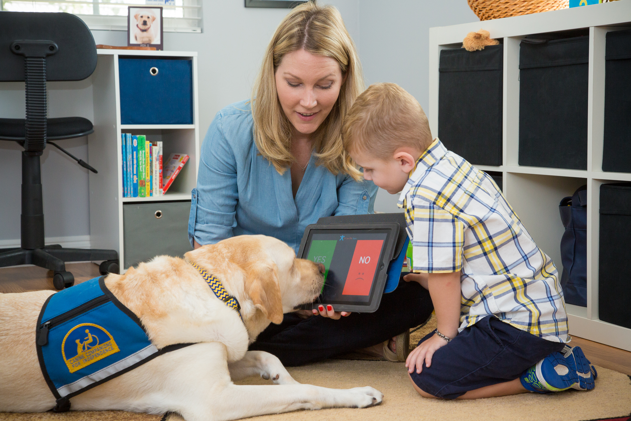 speech therapy dog