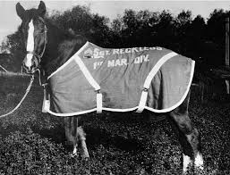 Reckless, military horse