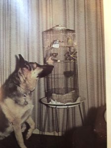 Photograph of Rinda watching the family's birds