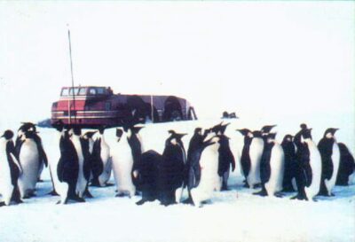 Penguins near snow cruiser