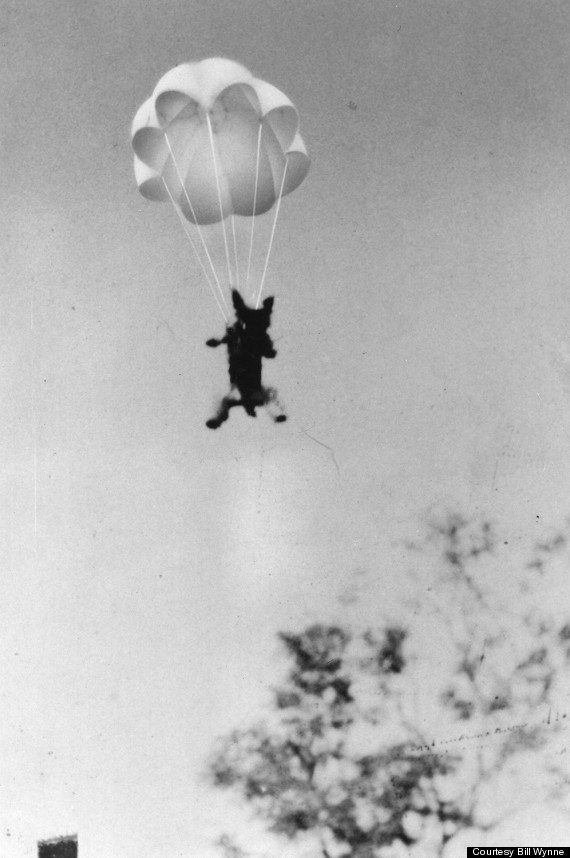 learning to parachute; courtesy Bill Wynne