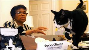 Socks Clinton
