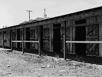 This black and white photo of the horse stalls show that they were not fit for families to live there.