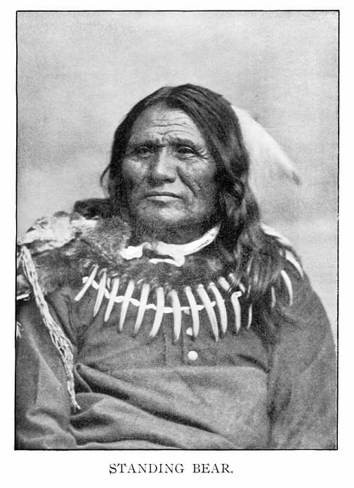 A black and white photograph of Standing Bear. His face is weathered. He proudly wears the bear tooth necklace he inherited from his father.  istockimage