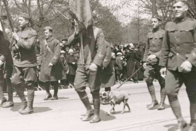1919 Stubby in a parade; Connecticut State Library