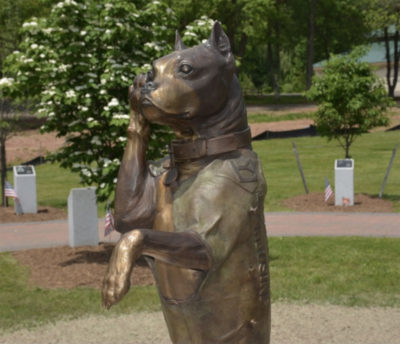 was sgt stubby a pitbull