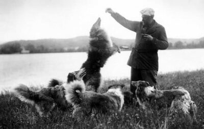 In this black-and-white photograph, Terhune holds a treat for one of the collies who jumps for it. Several other collies watch with full attention. The view behind them is of  Pompton Lakes. 