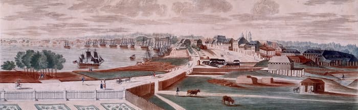 a painting of early New Orleans where James Durham practiced medicine.