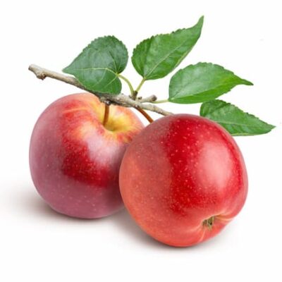 beautiful red apples on a branch