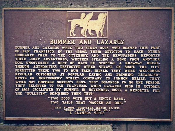 Bummer and Lazarus