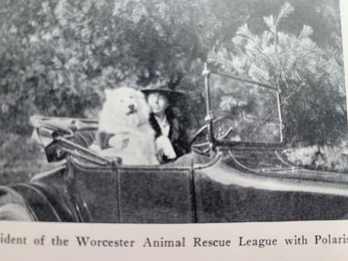 Polaris and President of Worcester Animal League