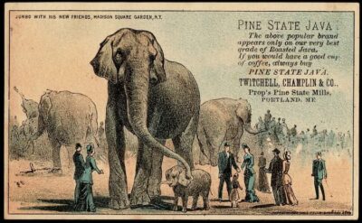 A circus advertisement showing the great Jumbo, surrounded by New Yorkers and other elephants.