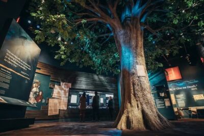 This is a press photo of the gallery with the Liberty Tree. The lighting is dim so the display cases can be read