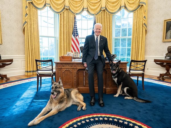 Biden dogs in Oval Office