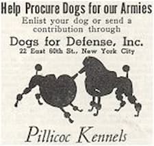 Vintage ad asking for dogs for the military, featuring two black poodles. Text promotes enlisting dogs in the canine unit or contributions through Dogs for Defense, Inc. at a New York City address.