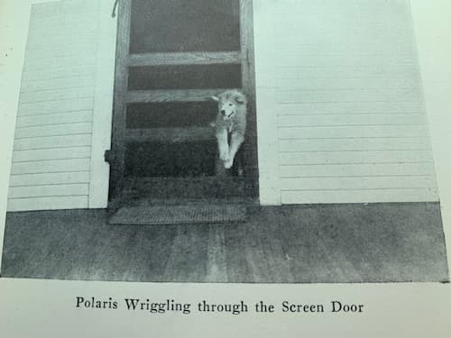 Polaris jumped through the screen door as his fastest method of leaving the house.