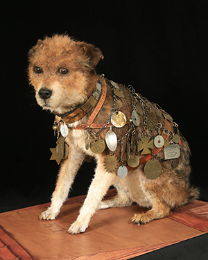 Owney the post office dog